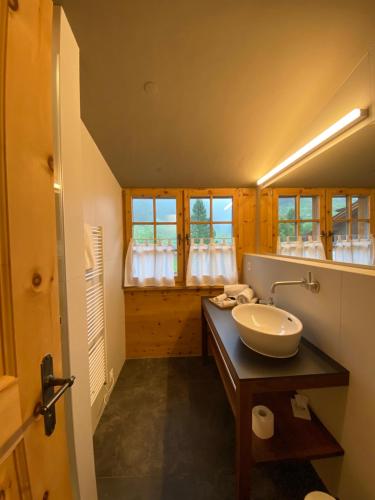 a bathroom with a sink and a mirror at Alpengasthof Crusch Alba ed Alvetern, S-charl in Scuol