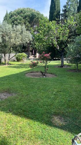 Les studios du Mazet des Mûres – Photos 3