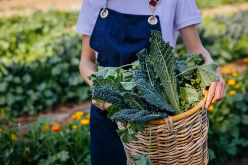 a woman holding a basket of vegetables at Six Senses Shaharut in Shaharut
