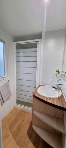 une salle de bain avec un lavabo et une fenêtre dans l'établissement Mobil Home 5 Personnes - Vendée - Puy du Fou - Climatisé, à La Boissière-de-Montaigu