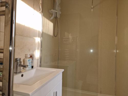 een badkamer met een wastafel en een douche bij Nice Living Serviced Accommodations 6 in Birmingham