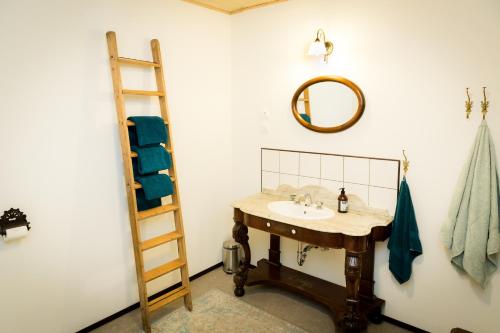 a bathroom with a sink and a mirror and a ladder at Gite une belle Histoire in Voisey