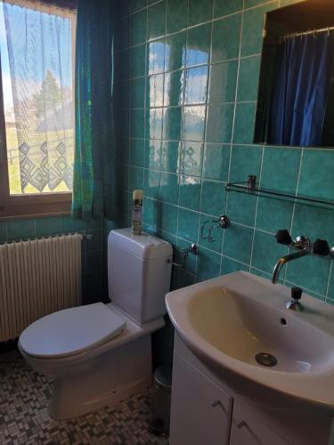 a bathroom with a white toilet and a sink at La Crettaz app dans chalet - SUNNY apartment 6 p in Veysonnaz
