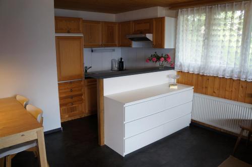 Kuchyň nebo kuchyňský kout v ubytování Haus Panorama B (Whg. Weibel)