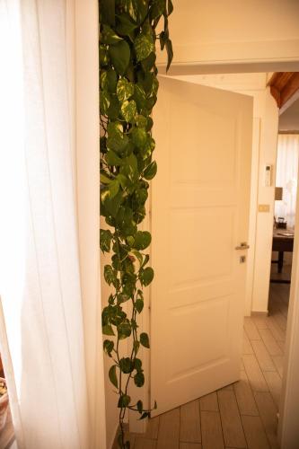 a plant is climbing up a wall next to a door at Panorama Guest House in Alghero