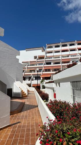 Apartment in Ocean Park II, Costa Adeje, Tenerife
