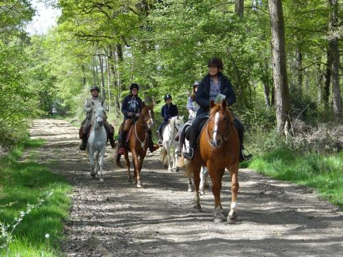 a group of people riding horses down a dirt road at Les Roulottes de la Risle in Calleville