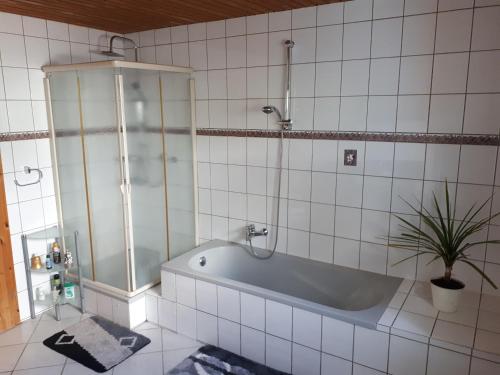 ein Badezimmer mit einer Badewanne und einer Topfpflanze in der Unterkunft Gästehaus Möbius in Markt Erlbach