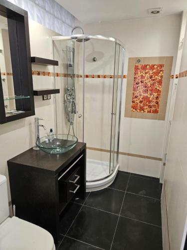 Apartamentos Séneca junto al Centro