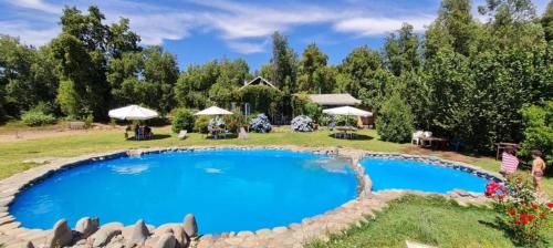 a large blue pool in a yard with trees at Hostal Macal in Talca