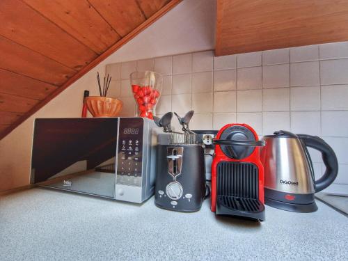 a kitchen counter with a toaster and a microwave at Ana's Place Torino 2 in Turin