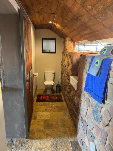 a bathroom with a toilet and a stone wall at JUMANJI NATURE RESORT in Hartbeespoort