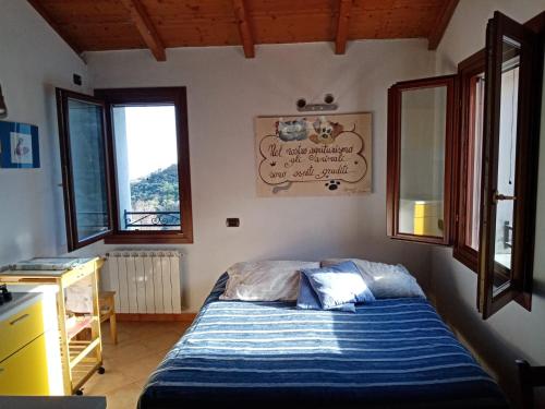 1 dormitorio con 1 cama, escritorio y 2 ventanas en Agrisport Cà di Cuni en Roncagli
