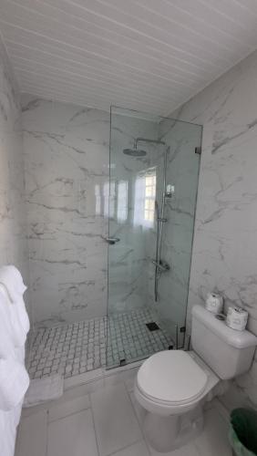 W łazience znajduje się toaleta i przeszklony prysznic. w obiekcie Sea Palms Beach Holiday w mieście Saint Mary