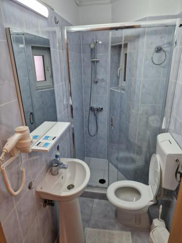 a bathroom with a shower and a toilet and a sink at Pensiunea Terra in Păcăleşti