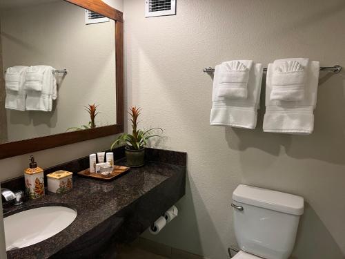 uma casa de banho com lavatório, WC e toalhas em Aloha Gem Studio - 2 bed with high speed WIFI - Luana Waikiki Hotel & Suite 917, 2045 Kalakaua Avenue HI 96815 em Honolulu