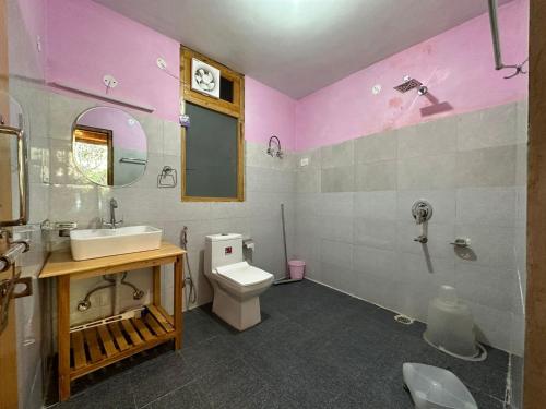 a pink bathroom with a sink and a toilet at The Village View Homestay in Jibhi