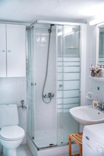 a bathroom with a shower and a toilet and a sink at Dimitra's Sunset View Apartment in Kalives Poligirou
