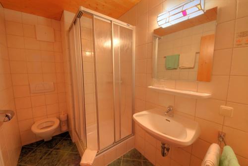 een badkamer met een douche, een wastafel en een toilet bij Liftstüberl Zaglauhof in Werfenweng