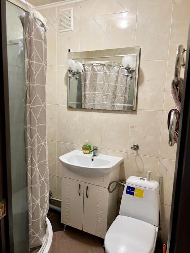 La salle de bains est pourvue de toilettes, d'un lavabo et d'un miroir. dans l'établissement Апартаменты в самом Центре прПобеды 90, à Tchernihiv