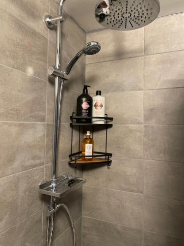 a bathroom with a shower with two shelves on the wall at Tapa Guest Apartment in Tapa