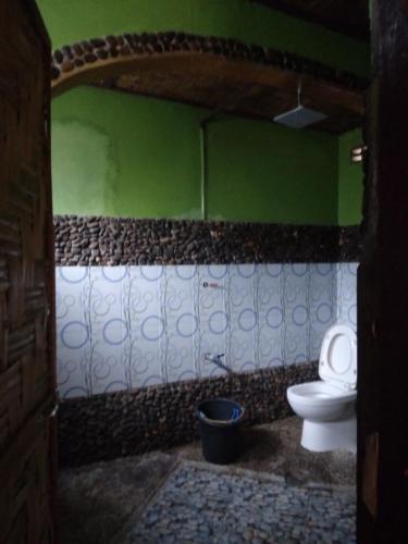 La salle de bains est pourvue de toilettes et d'un mur vert. dans l'établissement Lucky Bamboo' Bungalows-Resto and OrangUtan Jungle Trekking Tours, à Bukit Lawang