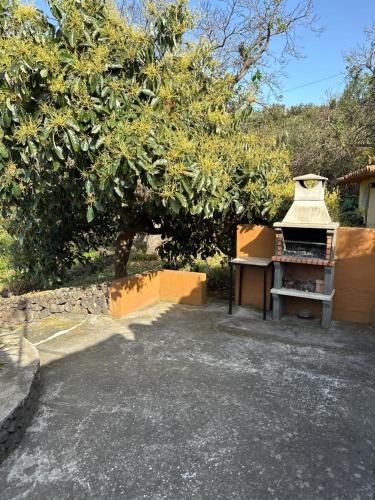 a grill in a yard with a tree at Casa Asuncion in Breña Alta