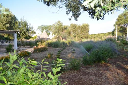 a garden with various plants and trees in the background at I Trulli Di Acquarossa in Cisternino