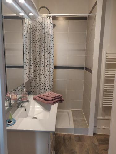 une salle de bain avec un lavabo et une douche dans l'établissement La tranquillité proche des châteaux de la Loire., à Vendôme