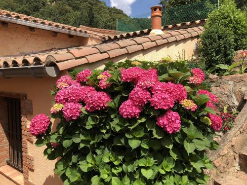 a bush of pink flowers on the side of a building at Apartamento en pleno Montseny Mas Romeu Turisme Rural in Arbúcies