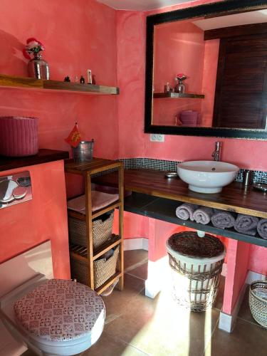een badkamer met een wastafel en een spiegel bij Villa Luxe Port Nature 1 Jasmine in Cap d'Agde
