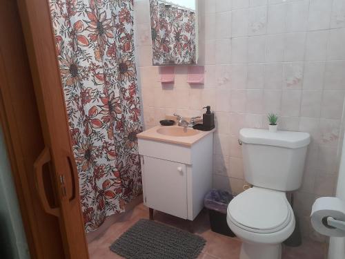 un bagno con un water, un lavandino e una tenda da doccia di Cozy Apartment across the San Juan Airport a San Juan