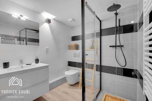 La salle de bains est pourvue d'une douche et de toilettes. dans l'établissement L'ORMEAU FLAMINGO, à Toulouse