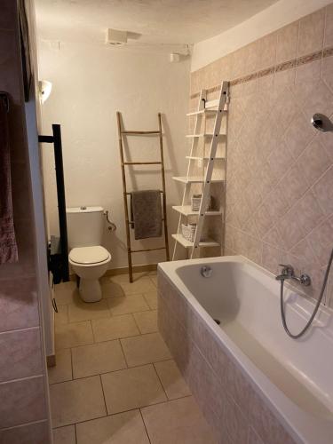 Appartement dans quartier historique de Mouans-Sartoux في موانس سارتوكس: حمام مع مرحاض وحوض استحمام