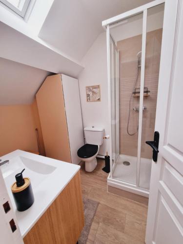 uma casa de banho com um WC e um chuveiro em Duplex neuf centre ville avec parking em Neauphle-le-Château