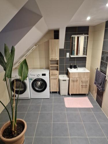 a laundry room with a washer and dryer and a plant at Asieńka 1 in Mirsk