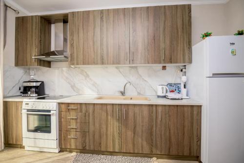 Η κουζίνα ή μικρή κουζίνα στο Spartacus Apartment