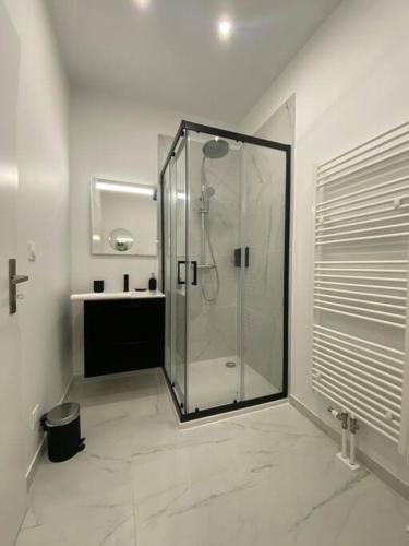 une salle de bain avec une douche en verre et un lavabo dans l'établissement Duplex By Aurelle 1, à Schiltigheim