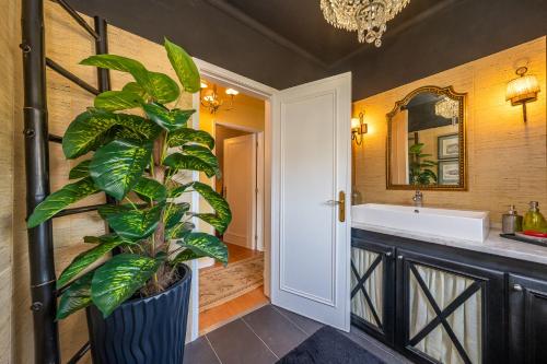 een badkamer met een plant en een wastafel bij Lawrence House - Deluxe - Cascais in Cascais