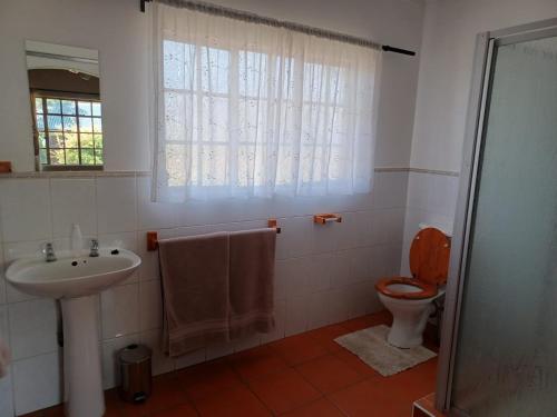 uma casa de banho com um lavatório, um WC e uma janela. em Linquenda Guest Farm em Lanseria