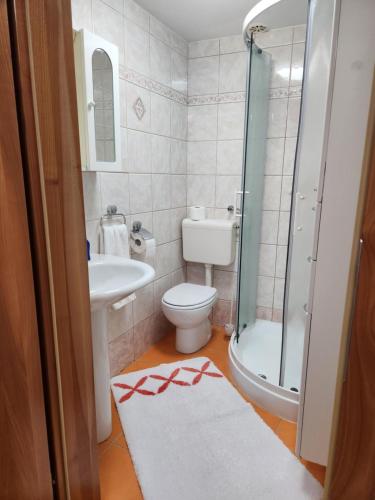 La salle de bains est pourvue de toilettes, d'un lavabo et d'une douche. dans l'établissement Apartma Nika, à Planina