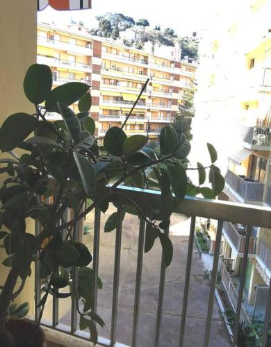 Santa Severina, Trilocale comodo e pratico centro città