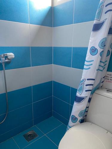 a blue and white bathroom with a toilet and a shower curtain at Ilkićev kućerak Studio in Vrdnik