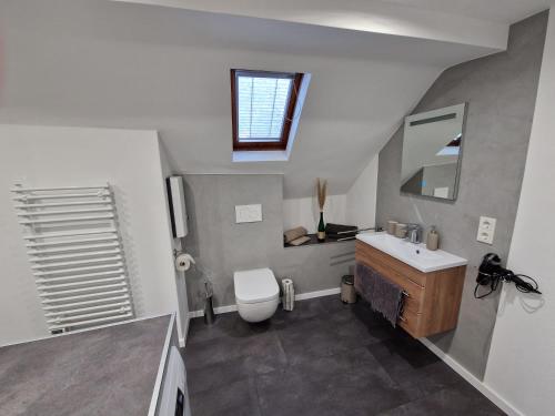 a bathroom with a white toilet and a sink at Ferienwohnung Mosel-Saar-Ruwer in Bernkastel-Kues