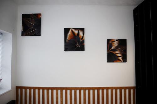 four pictures of leaves on a wall above a crib at 259A Queen Ediths Way in Cherry Hinton