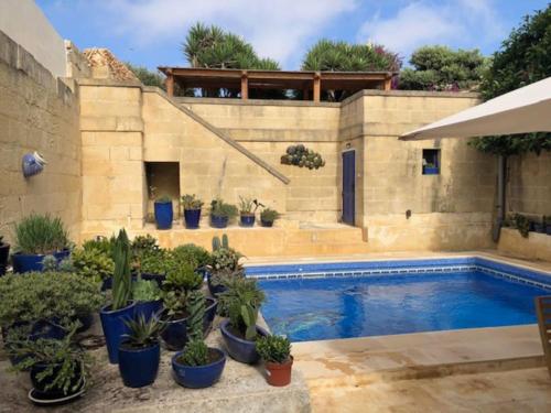 una piscina con un montón de macetas alrededor en Dar Dragun: luxury 3BR bright spacious house & pool, en San Lawrenz