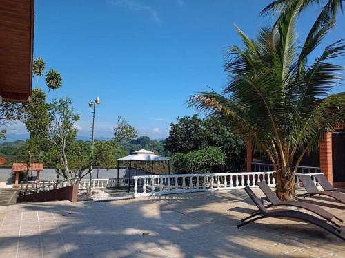 a palm tree sitting next to a white fence at Uruka Lodge in Alajuela City