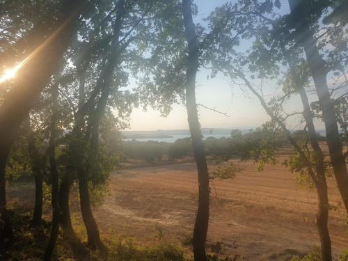 - une vue sur un champ à travers les arbres dans l'établissement La casetta del bosco, à Marta