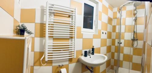 a bathroom with a sink and a shower at Chalupa Bořanovice in Vimperk