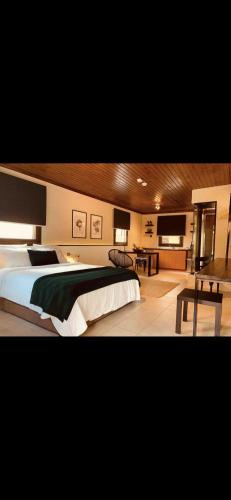 a large bedroom with a large bed in a room at The Leaf room in Veria
